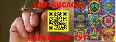 МДПВ Кингисепп