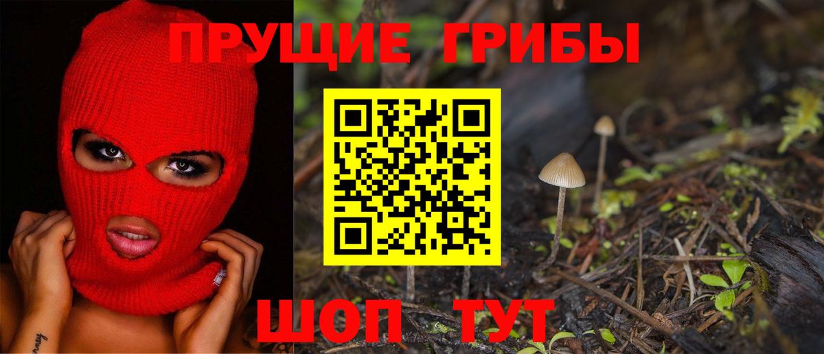 Галлюциногенные грибы GOLDEN TEACHER  Галлюциногенные грибы мухоморы  где можно купить   Вход с VPN  Котельники 